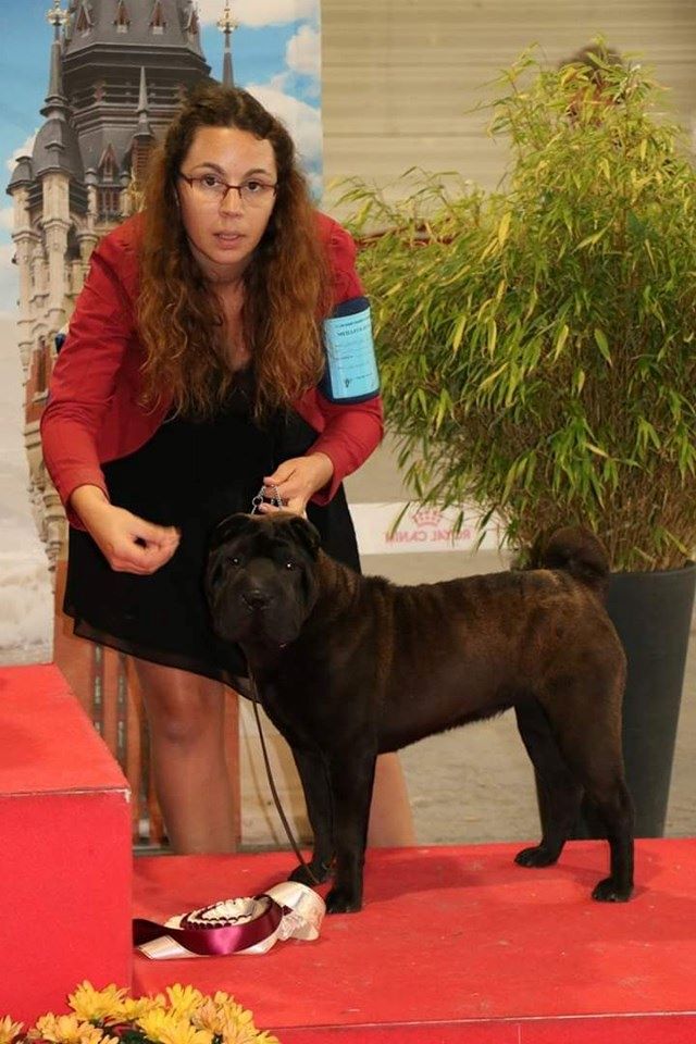 D'une étoile Est Née - Oxana d'une Etoile est née une étoile qui brille 