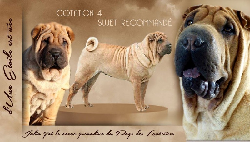 J'ai le coeur grenadine julia Du Pays Des Lanternes